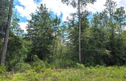 SE 48TH Lane, Starke, FL 32091