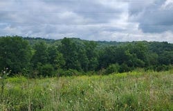 15711 Pfanstiehl Road, Demossville, KY 41033