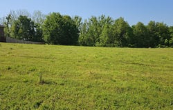 Lot 11 Fox Haven Drive, Mt Vernon, MO 65712