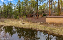 571 W Pine Shadow Drive, Lakeside, AZ 85929