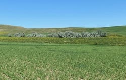 16547 Highway 79, Newell, SD 57760