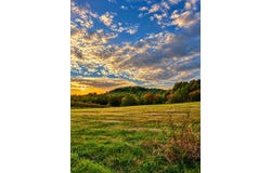 375 Statham Road, Liberty, KY 42539