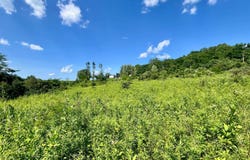 9755 FB Eye Rd, Blue Rock, OH 43720