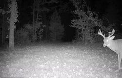 736 Hwy 8 Mo-8, Steelville, MO 65565