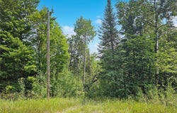 Tbd Lower Ten Mile Lake Rd NW, Hackensack, MN 56452
