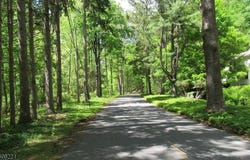Sweet Hollow Rd, Holland Twp., NJ 08848