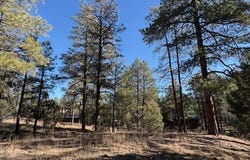 3290 W Black Oak Loop, Show Low, AZ 85901
