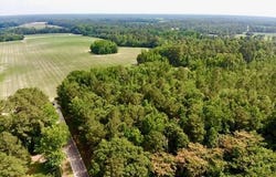 Lesane Road, Tar Heel, NC 28392