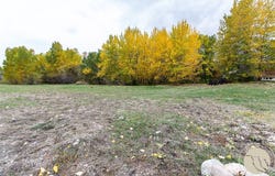201 Kainu Ave, Red Lodge, MT 59068