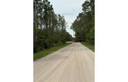 2060 HAZELNUT STREET, BUNNELL, FL 32110