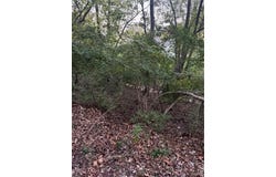 1443 Richland Meadows Drive, Ballwin, MO 63021