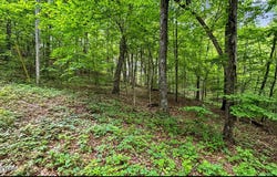 Lot 1 Graves Hollow Rd, Maynardville, TN 37807