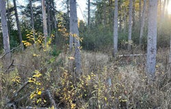 State Hwy 23 S, Sandstone, MN 55072