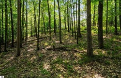 4139 Cranberry Lane, Williamsburg, MI 49690-8400