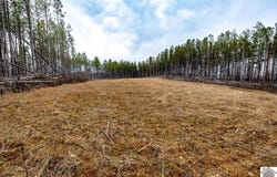 Cedar Grove Road, Salem, KY 42078