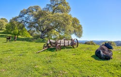 13088 Trembath Mountain Rd, Fiddletown, CA 95629
