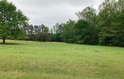 PLANTATION Way, AUBURN, AL 36832