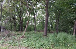 1272 Westlake Woods Drive Drive, Springfield, MI 49037