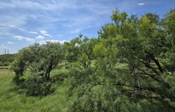 206 Colt, Horseshoe Bay, TX 78657
