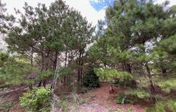 Tbd County Rd., Lot 20-C RD, Bastrop, TX 78602