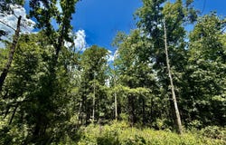 16445 County Road 6220, Edgar Springs, MO 65462