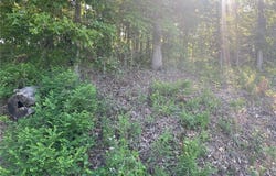 Argyll  DR, Bella Vista, AR 72715