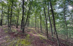 Off Tulls Hill Road, Manns Choice, PA 15550