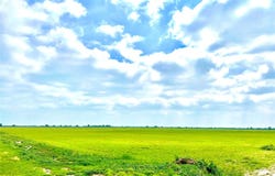 TBD Tract 4 Beal Rd, Eagle Lake, TX 77434