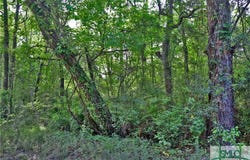 168 Middle Landing Road, Bloomingdale, GA 31302