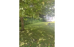 14 Forest Street, Randolph, VT 05060