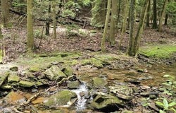 0 Oak Leaf Lane, Dunlap, TN 37327