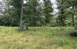 0 County Road 444, Redford, MO 63665