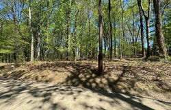 HONEYSUCKLE Lane lot: 92, BLUEMONT, VA 20135