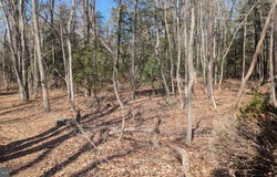 COOL RUN Road, BRIDGETON, NJ 08302