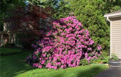 1100 Everwild View, Webster, NY 14580