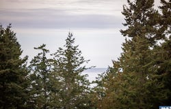 382 Discovery View Dr, Sequim, WA 98382