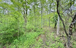 WIlls Hill Road, Pomeroy, OH 45769