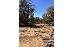 XX N Ranchero Rd, Pie Town, NM 87827