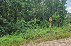 TBD County Road 224, Eureka Springs, AR 72632