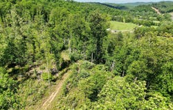50 Wine Lane, West Union, WV 26456