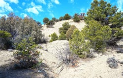 00 CR 322, Tierra Amarilla, NM 87575