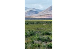 400 Cold Spring Point Road, Crescent Valley, NV 89821