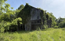 1298 Brier Fields Ln, Cloverport, KY 40111