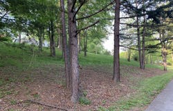 157 Orchard Lane, Corbin, KY 40701