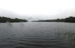 N9015 DEER TR, Tomahawk, WI 54487