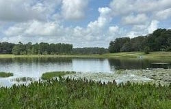 151 ASHLEY LAKE Drive, Melrose, FL 32666