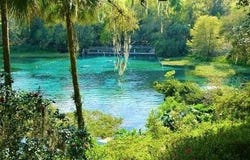 8186 N SHANNON AVENUE, CRYSTAL RIVER, FL 34428