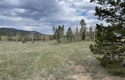22 Tami Rd, Red Feather Lakes, CO 80545