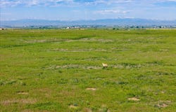 County Rd 51, Ault, CO 80610