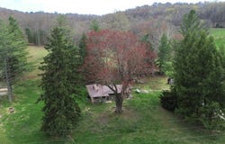 1459 Buck Lick Br, Tollesboro, KY 41189